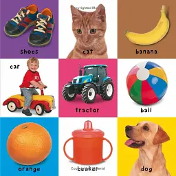 Colours ABC Numbers. First 100 Books - мініатюра 4