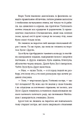 Драбина - мініатюра 12
