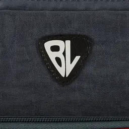 Рюкзак шкільний Bagland BL Школяр 8 л. 321 сірий 680 (00012870) (1123820968) - мініатюра 4