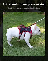 Шлея для собак Derby Pet harness FH107, L Чорний - мініатюра 4