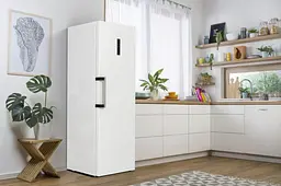 Холодильна камера Gorenje R619EAW6 - мініатюра 17
