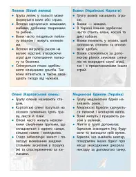 STEM-Старт. Наука про життя. Робочий зошит. 4 клас - Ірина Потапенко - мініатюра 16