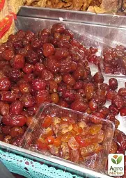 Саджанець Agro-Market Зизифус Китайський 2а (середній термін дозрівання, високоврожайний сорт) 1 шт. в упаковці (21390) - мініатюра 2