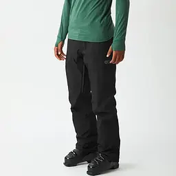 Штани лижні Picture Organic Plan 2026 L Чорний