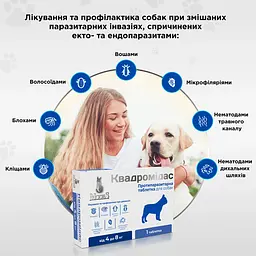 Протипаразитарна таблетка Modes Квадромідас для собак 2-4 кг 0.2 г - мініатюра 4