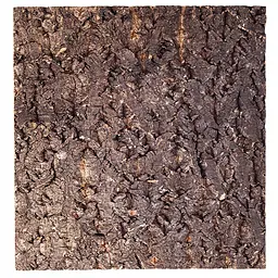 Фон з кори Repti-Zoo Big Tree Background 45x45 см (NCT03) для тераріуму