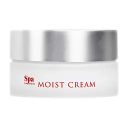 Крем для обличчя SPA Treatment Abso Moist Cream Зволожуючий 30 г (4513857304932)