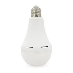 Лампочка Almina DL-2030 30W, 2700Лм, 6400K (DL-2030)