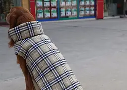Зимовий водонепроникний двосторонній жилет у клітинку Derby Plaid Beige у британському стилі, M Бежевий - мініатюра 4