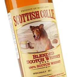 Віскі Scottish Collie Blended Scotch Whisky, 40%, 0,7 л - мініатюра 5
