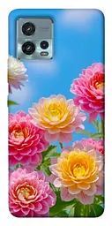 Чохол Demsky Summer day для Motorola Moto G72