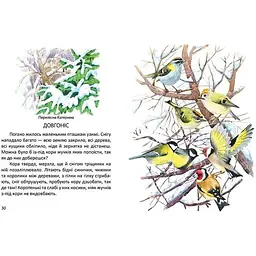 Дитяча книга Талант Завтра до школи Малятам про звірят - Борзова В. В. (9789669352453) - мініатюра 3