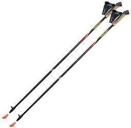 Палиці для скандинавської ходьби Gabel FX-75 Snake Carbon 120 Dual Spike (7008351011200) (DAS302082)