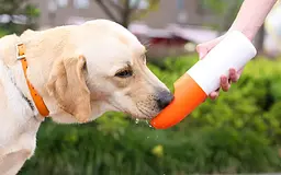 Поїлка для тварин Moestar Rocket MS0010001 Orange - мініатюра 5