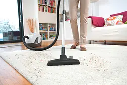Пилосос Karcher DS 6 Premium Plus [1.195-242.0] [82118] - мініатюра 6