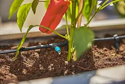 Крапельниця Gardena Micro-Drip-System внутрішня 2 л/год, 10 шт (13317-20) - мініатюра 2
