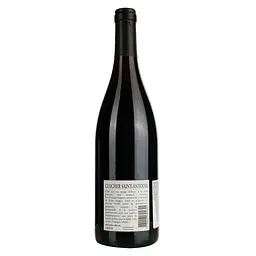 Вино Clocher Saint Antoine Rouge 2021 AOP Pic Saint Loup, червоне, сухе, 0,75 л - мініатюра 4