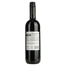 Вино Terra d'Incanto Rosso Semi Sweet червоне напівсолодке 0.75 л - мініатюра 2