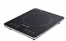 Індукційна плита Hausberg HB-1525GR