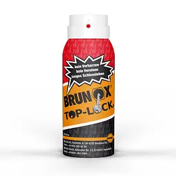 Мастило для замків спрей Brunox Top Lock 100ml (BR010TOPLOCK)