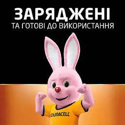 Акумулятор Duracell AA HR6 1300mAh * 4 (5007324) - мініатюра 8