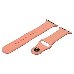 Ремінець силіконовий для Apple Watch Sport Band 42/44/45 мм розмір S колір 20