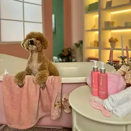 Шампунь Home Food Beauty Досконалий догляд для собак та котів 200 мл  - мініатюра 5