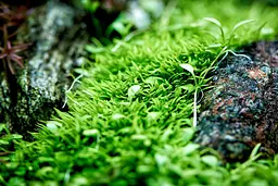 Калій в таблетках Aquario Neo Tabs Plant K - мініатюра 3