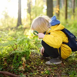 Набір натураліста Hape Nature Fun Лупа і свисток (E5570 - мініатюра 7