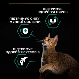 Сухий корм для дорослих котів Purina Pro Plan Adult 1+ Renal Plus з куркою 1.5 кг (12369527) - мініатюра 6