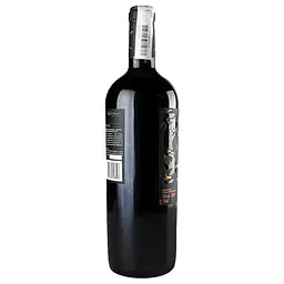 Вино Bodega Volcanes de Chile Igneo, 14%, 0,75 л (814909) - мініатюра 4