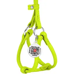 Шлея з повідцем для собак Waudog Glamour, шкіряна, кругла, з QR паспортом, 26-46х30-50х0,6/105 см, салатовий (34015) - мініатюра 2