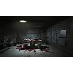 Ключ активації Microsoft Outlast для Xbox One/Series - мініатюра 5