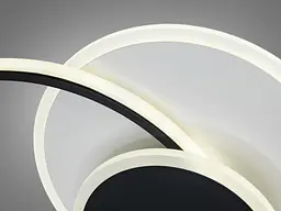 Люстра стельова смарт LED Diasha 2456WH+BK, 55W, 42 см, IP20, метал/акрил, сучасний стиль - мініатюра 5