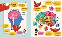 Книжка про мозок і те, як він працює - мініатюра 5