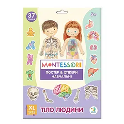 Навчальний постер з наклейками "Тіло людини" DoDo Toys 300901 XL 37 стікерів