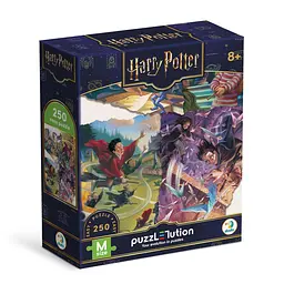 Пазл "Harry Potter: Улюблені сторінки" DoDo Toys 200658, 250 елементів