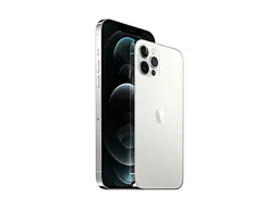 Смартфон Apple iPhone 12 Pro Max 256GB Silver (MGDD3) - миниатюра 3