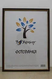 Фоторамка 30х42, світло-коричнева із золотою вставкою, 1511-5120, СКЛО + ДВП                                                                                                                                                                                                                                                                                                                                                     
