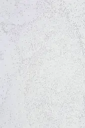 Набір для розпису по номерах "Руденьке котеня" 40*50 см, IDEA2-GX45731, ТМ "99IDEAS" - мініатюра 7