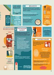 Крутезна інфографіка : Анатомія - мініатюра 9