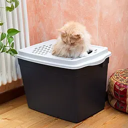 Сучасний закритий туалет для котів Ferplast JUMPY - мініатюра 2