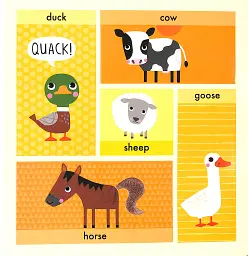 Lift, Touch Learn First Words. Animals - Вілетта Крейвен - мініатюра 6