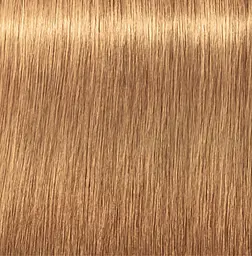 Перманентна фарба для сивого волосся Schwarzkopf Igora Royal Absolutes, відтінок 9-50 (екстра світлий блондин золотистий натуральний), 60 мл (2681804) - мініатюра 3