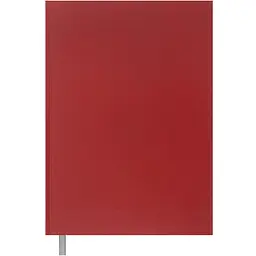 Книга обліку Buromax Optimal А4 200 аркушів у клітинку бордова (BM.24419104-13)