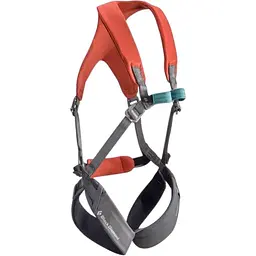 Дитяча страхувальна система Black Diamond Kids' Momentum Full Body (1033-BD 651089.OCTN)