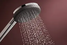 Ручний душ Hansgrohe Raindance Alive Select S EcoSmart chrome 24511000 - мініатюра 6