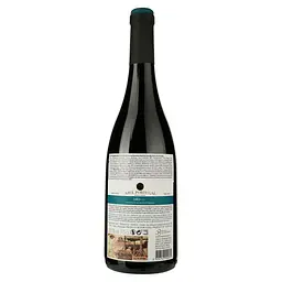 Вино Azul Portugal Dão Tinto, червоне, сухе, 0,75 л (ALR16107) - мініатюра 2