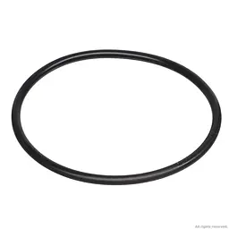 Ущільнювальне кільце для Eheim universal 2400/3400 (1260/1262/2260) (7269350) 2 шт. - мініатюра 3