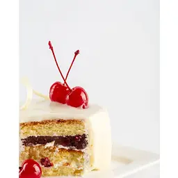 Добавка фруктова Cherry Twig Коктейльна вишня 315 г - мініатюра 7